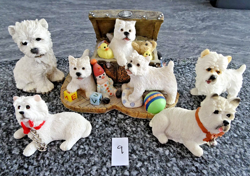 Used westies lot 9 - westies,