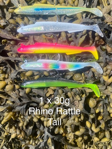 Sandeel rhino rattle tail - rhino,