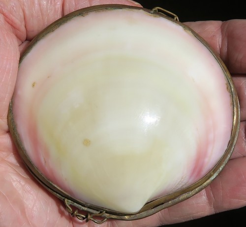 Antique shell brass trinket - antique,