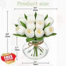 DILATATA White Tulips