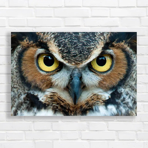 Great horned owl - great,