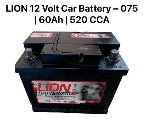 Lion volt car battery 075 - 12,
