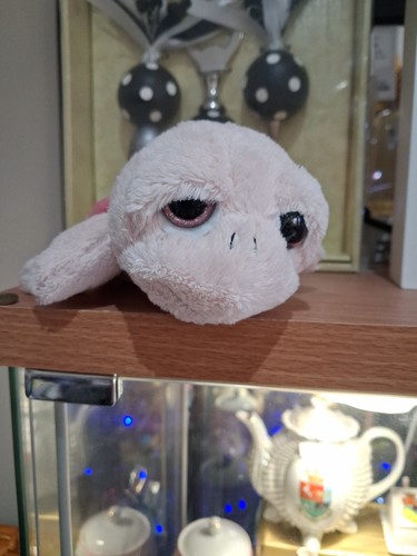 Lil peepers small - small, turtle