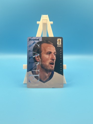 Panini kayou fifaworld cup - kayou,