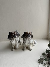 Goldschieder Pekingese Dog