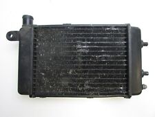 Aprilia SL1000 Falco 2000 - 2003 RST1000 Futura RSV1000 Right Hand Radiator #02B