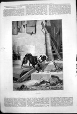 Old Deserted C Arnald Dog Deserted House Bird Cage Broken Window1878 Victorian