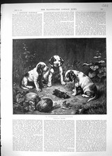 Antique Print 1889 Scientific