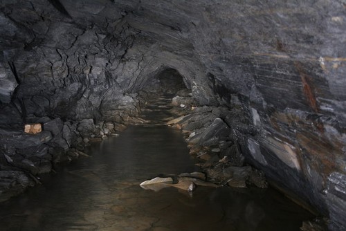 Photo inside cambrian slate - photo,