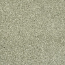 Sage Green Stain Resistant