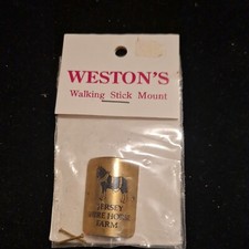 Walking Stick Mount By