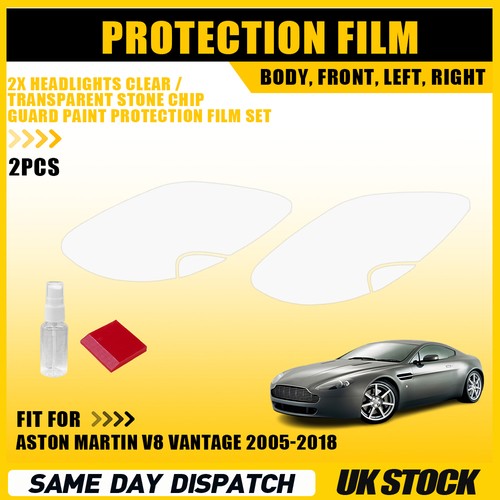Headlight guard paint - guard,