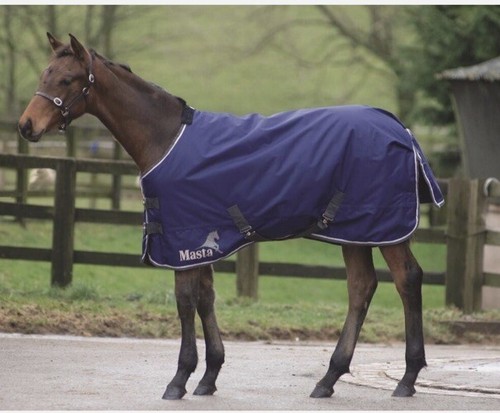 Harry hall masta avante 170g - harry,
