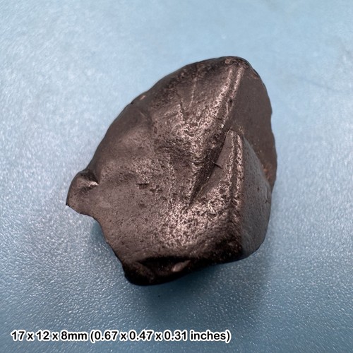 Whitby jet fossil - fossil, gemstone
