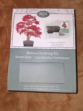 Bees Bonsai Growing Kit New In