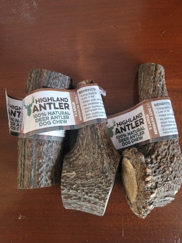 Extra large highland antler - 3,
