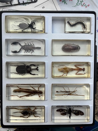 National geographic real life - geographic,