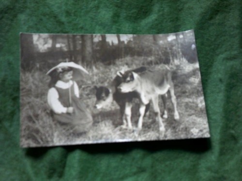 Animals nature young girl - animals,