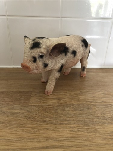Vivid arts micro pig ornament - arts,