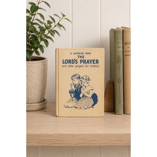 Vintage 1961 ladybird - vintage, book
