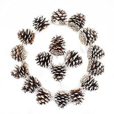 TRIXES 18PC Snow Tipped Hanging Pine Cones - Snow Dusted Pine Cone Decoration
