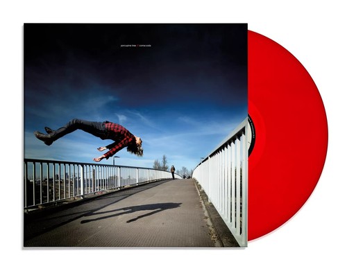 Porcupine tree - porcupine,