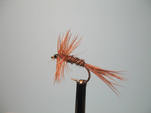 Pheasant tail fly fishing - 3,