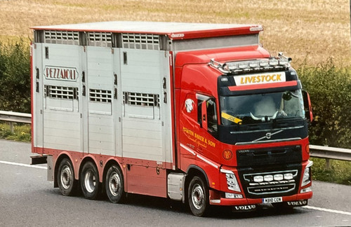 Volvo livestock lorries 3 - livestock, x