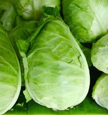 Vegetable - Cabbage - Durham