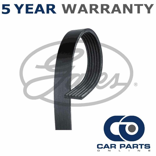 Gates ribbed belts fits 3 - v-ribbed,