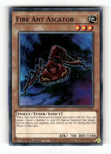 Fire ant ascator - fire, sdck-en020