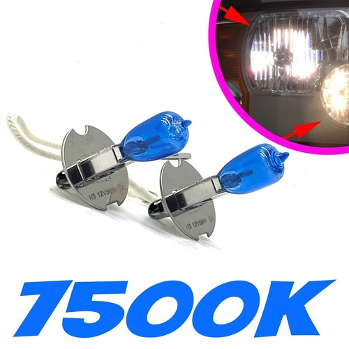 Front fog spot lights - fog, pair