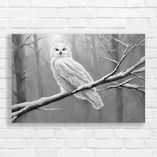 Majestic Snowy Owl Black White