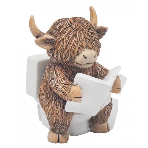 Lesser pavey highland cow - &,