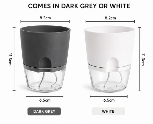 Self watering plant pots - self,