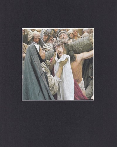 8x10 matted print picture - 8x10",