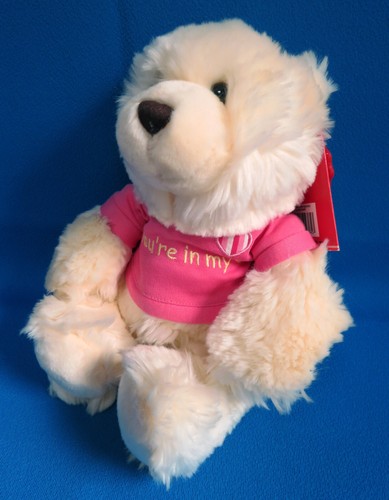 Cream teddy bear you - bear, you're