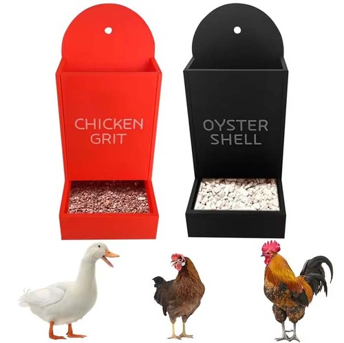 Chicken poultry feeder - feeder, chick