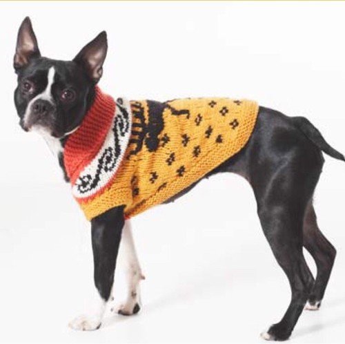 Dog coat jumper knitting - dog,