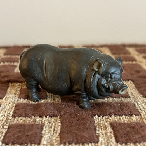 Vietnamese pot bellied pig - pot-bellied,