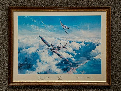 Spitfire robert taylor - robert,
