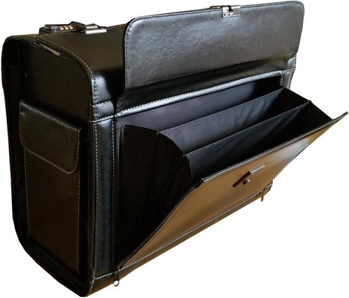 New executive flight pilot - executive,