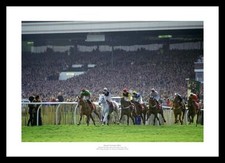 Desert Orchid Last Race 1991