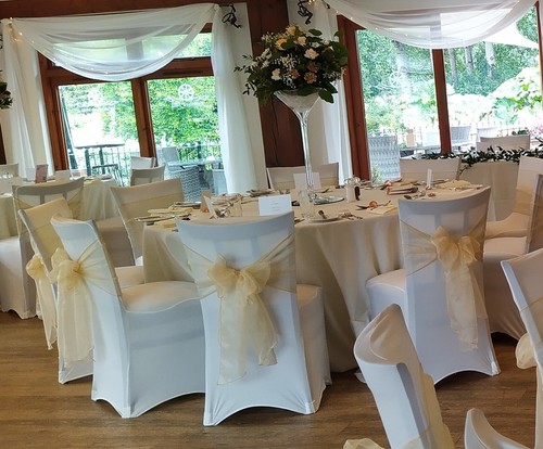 Champagne organza sashes - 20,