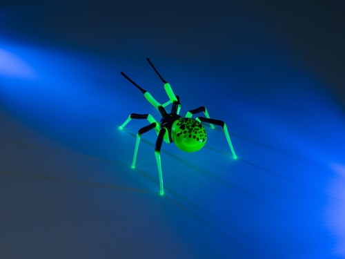 Glow the dark - in,