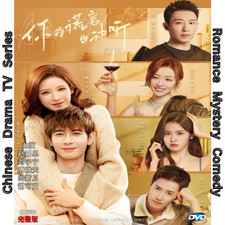 A Beautiful Lie 2024 - Chinese