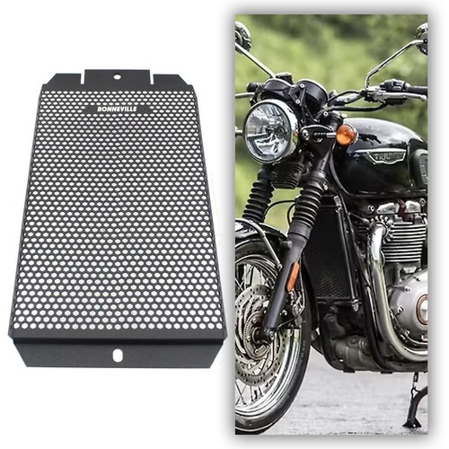 Aluminum radiator grille - aluminum, guard