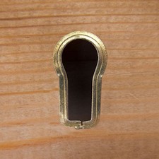 5 x Solid brass escutcheon