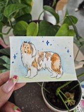 Rough collie dog aceo - dog,