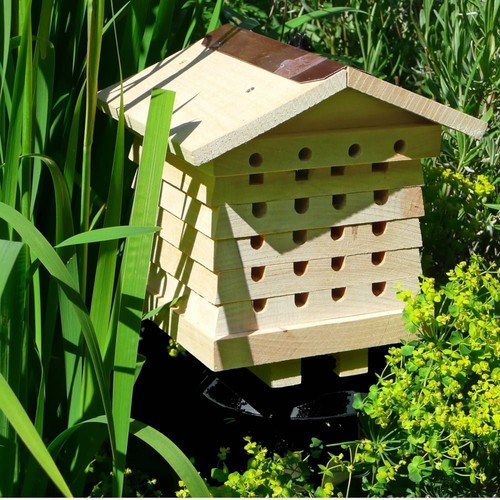Wildlife world interactive - wildlife,